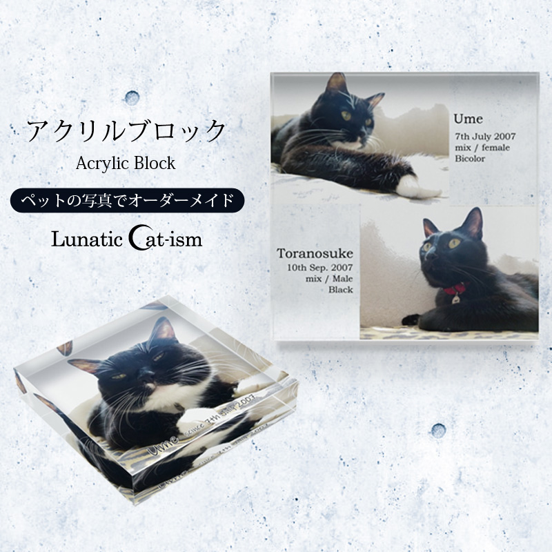 【ルナティックキャットイズム】送料無料｜オーダーメイドインテリア-ペットの写真でアクリルブロック 猫 犬：フォトデザイン