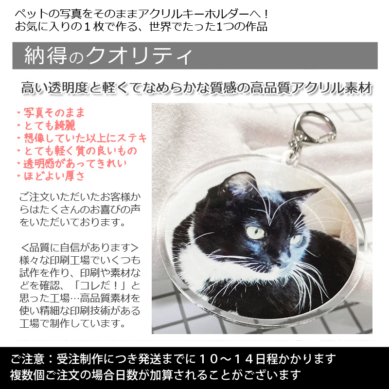 【ルナティックキャットイズム】送料無料｜アクリルキーホルダー-ストラップ/チャーム/バッジ ペットの写真で作る オーダーメイド オリジナル アクキー 猫 犬：フォトタイプitem_image_12