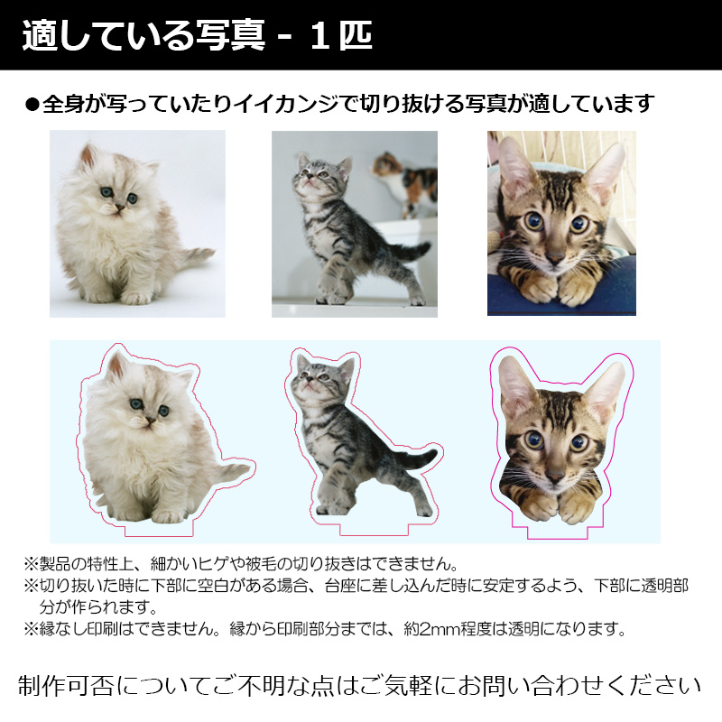 【ルナティックキャットイズム】送料無料｜アクリルスタンド-サイズや台座が選べる！ペットの写真で作る オーダーメイド オリジナル アクスタ 猫 犬：フォトタイプitem_image_8