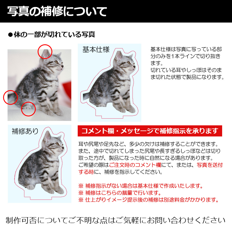 【ルナティックキャットイズム】送料無料｜アクリルスタンド-サイズや台座が選べる！ペットの写真で作る オーダーメイド オリジナル アクスタ 猫 犬：フォトタイプitem_image_11