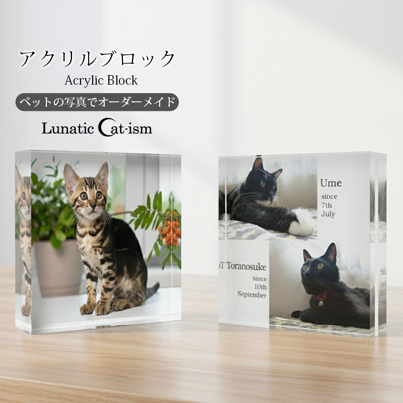【ルナティックキャットイズム】送料無料｜アクリルブロック-ペットの写真で オーダーメイド オリジナル インテリア 猫 犬：フォトタイプ