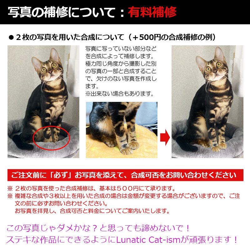 【ルナティックキャットイズム】送料無料｜アクリルスタンド-サイズや台座が選べる！ペットの写真で作る オーダーメイド オリジナル アクスタ 猫 犬：フォトタイプitem_image_12