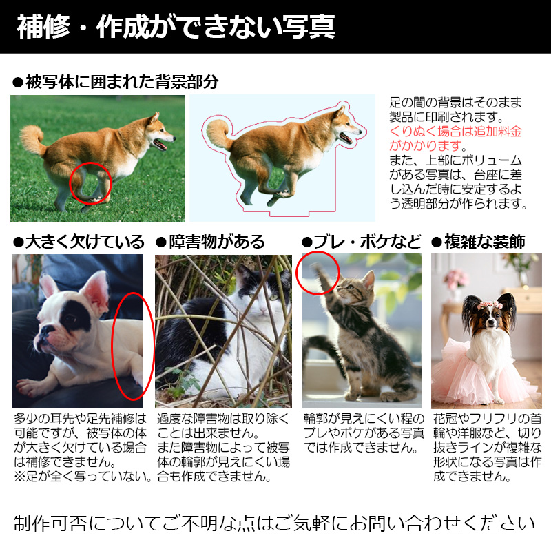 【ルナティックキャットイズム】送料無料｜アクリルスタンド-サイズや台座が選べる！ペットの写真で作る オーダーメイド オリジナル アクスタ 猫 犬：フォトタイプitem_image_13