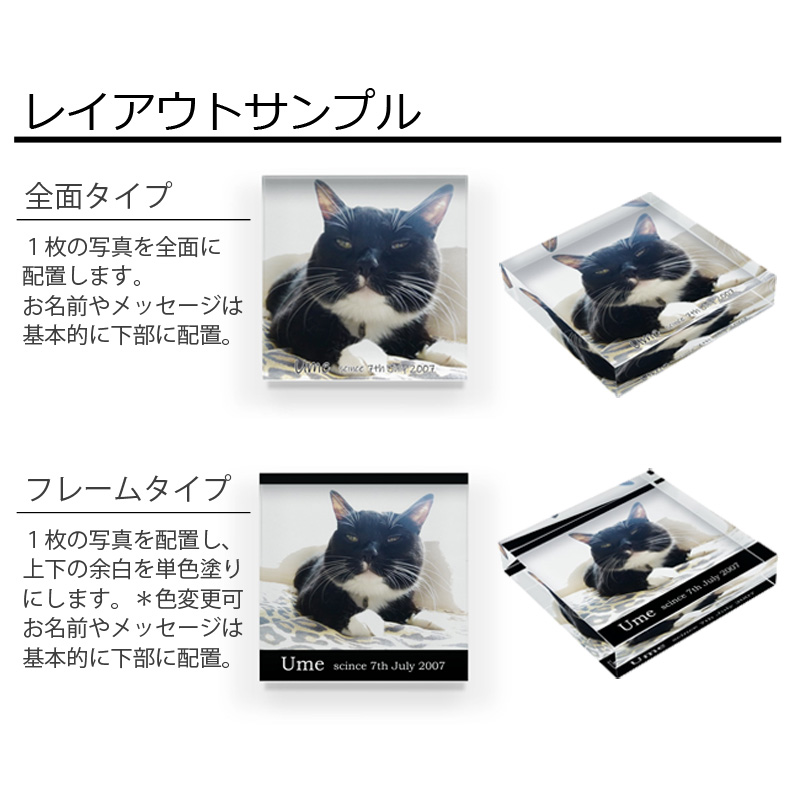 【ルナティックキャットイズム】送料無料｜アクリルブロック-ペットの写真で オーダーメイド オリジナル インテリア 猫 犬：フォトタイプitem_image_3