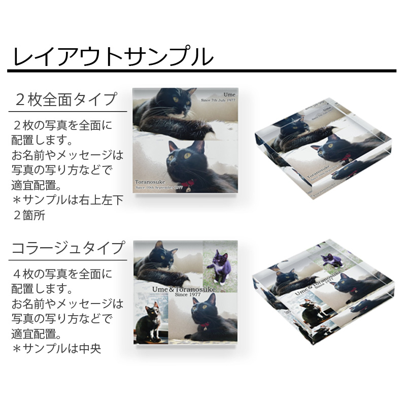 【ルナティックキャットイズム】送料無料｜アクリルブロック-ペットの写真で オーダーメイド オリジナル インテリア 猫 犬：フォトタイプitem_image_4