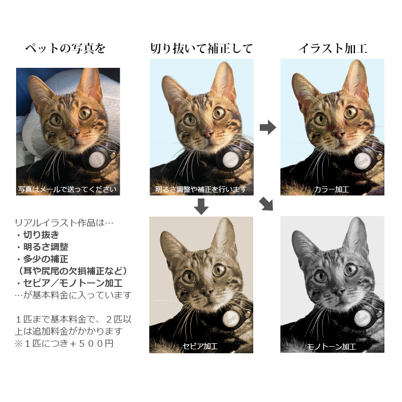 【ルナティックキャットイズム】送料無料｜iPadケース タブレットケース-ペット写真で作る オーダーメイド オリジナル 猫 犬 ：リアルイラストitem_image_9