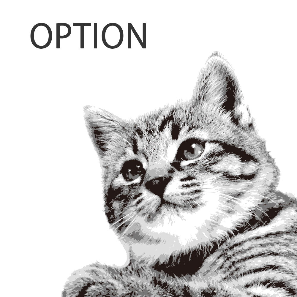 【ルナティックキャットイズム】追加オプション～この商品のみのご購入はできません