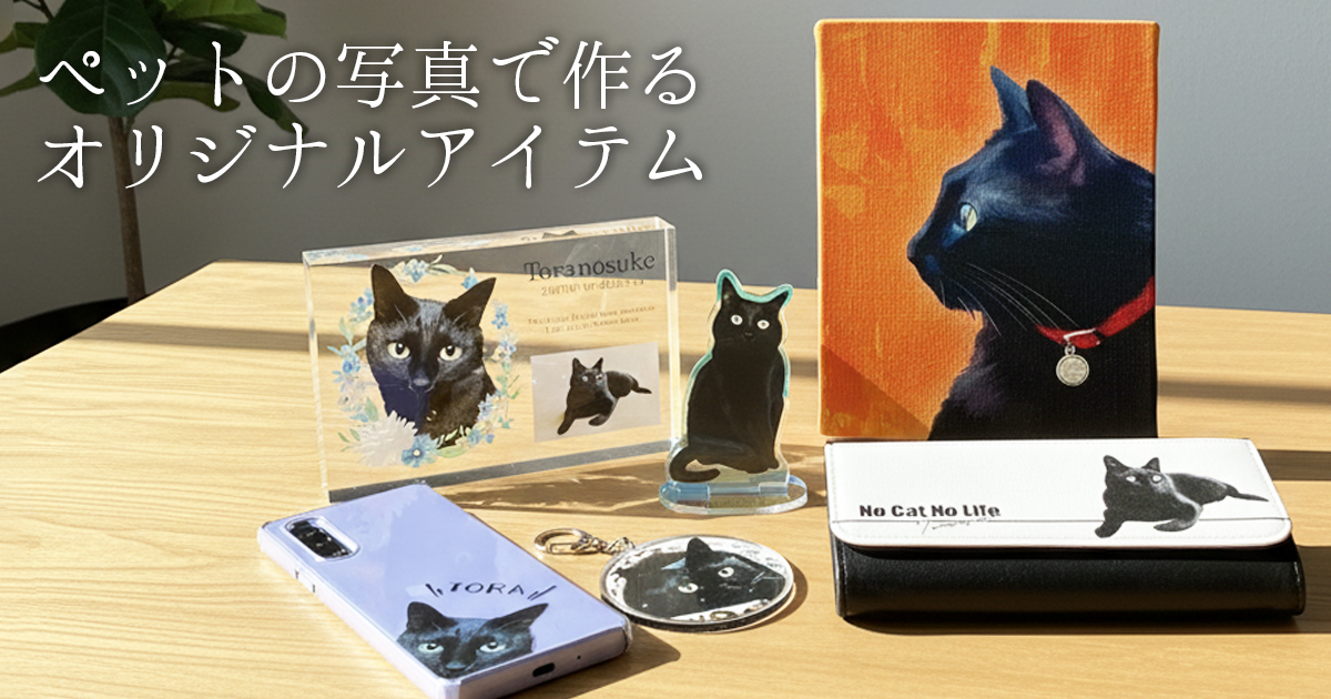 【ルナティックキャットイズム】PICK UP 1